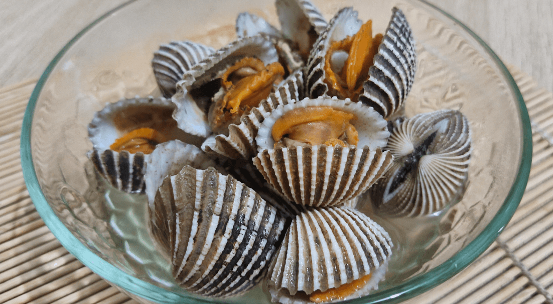 Foto kategori Kerang
