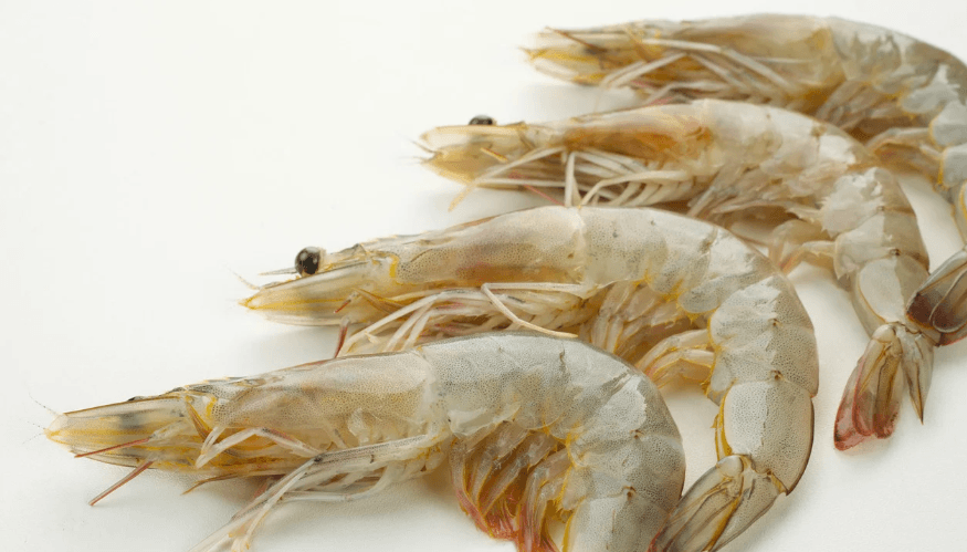 Produk unggulan Udang Vaname